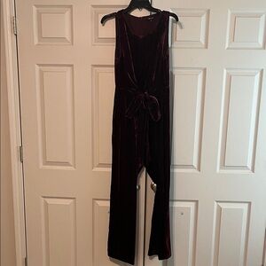 Madewell Velvet Jumpsuit in Deep Burgundy